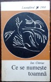 Cumpara ieftin ION CHIRIAC: CE SE NUMESTE TOAMNA (VERSURI/DEBUT 1968/AUTOGRAF)[fara fila titlu]
