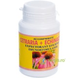 Cetraria + Echinaceea (Expectorant, Imunostimulator) 40cpr