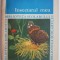 Insectarul meu &ndash; Ion Nemes