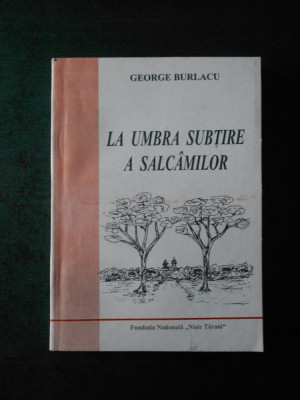 GEORGE BURLACU - LA UMBRA SUBTIRE A SALCAMILOR foto