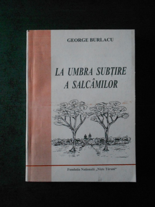 GEORGE BURLACU - LA UMBRA SUBTIRE A SALCAMILOR