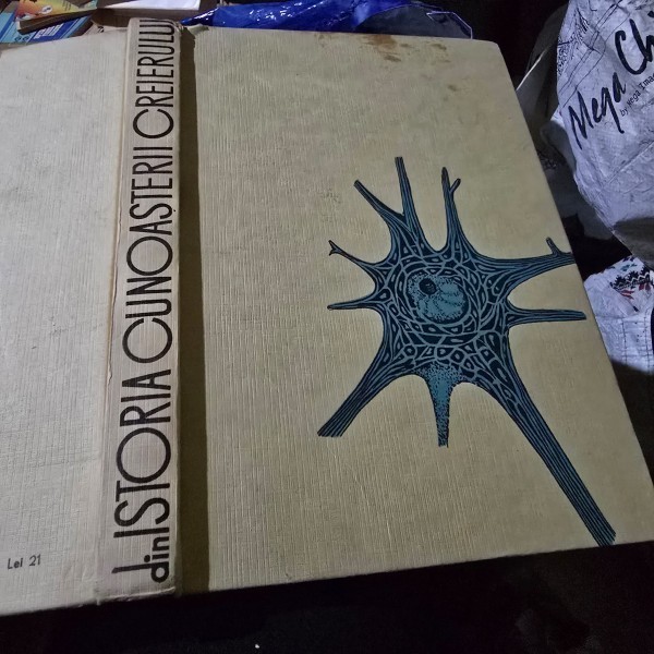 Din istoria cunoasterii creierului , Vlad Voiculescu , 1963