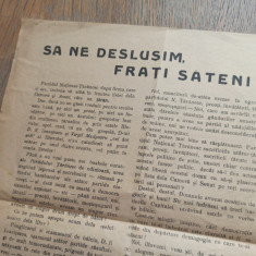 MANIFEST AFIS PARTIDUL TARANESC, CCA 1920