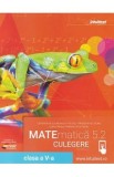 Matematica 5.2 - Clasa 5 - Culegere Vol.2 - David Brumar, Ion Cicu, Mihaela Anca Coroian, Liana Olarasu, Razvan Ceuca, Ioana Iacob, Raluca Ciurcea, Si