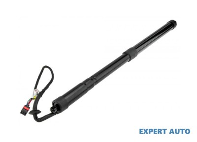Telescop hayon Land Rover Range Rover Sport (2005-2013)[L320] #1 foto