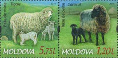 MOLDOVA 2014, Fauna - Rase de oi, serie neuzata, MNH foto