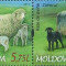 MOLDOVA 2014, Fauna - Rase de oi, serie neuzata, MNH