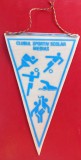 FANION SPORTIV - CLUBUL SPORTIV SCOLAR MEDIAS - DE COLECTIE