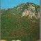 CPIB 15350 - CARTE POSTALA - BAILE HERCULANE. MUNTELE DOMOGLED