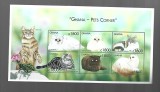 ghana pisici mnh