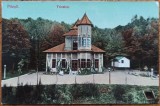 Pitesti, Trivalea// CP