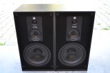 Boxe Arcus TS 450