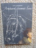 D. H. Lawrence - Armasarul doamnei Lou
