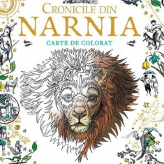 Cronicile din Narnia - Carte de colorat