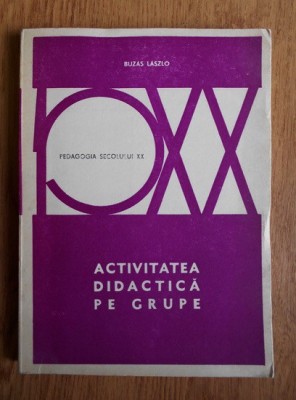 Activitatea didactica pe grupe Buzas Laszlo foto