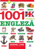 Cumpara ieftin 1001 Cuvinte In Engleza - Despre Lume, - Editura DPH