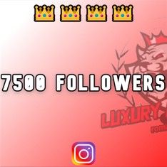 Cont Instagram 7500 followers reali foto