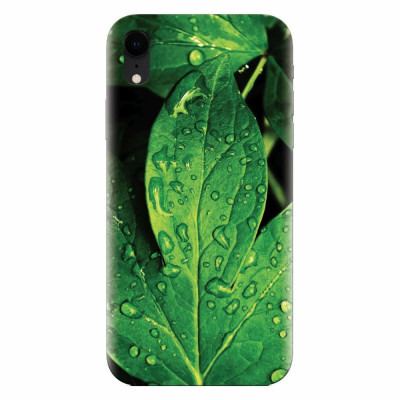 Husa silicon pentru Apple Iphone XR, Leaves And Dew foto