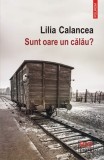 Sunt oare un calau? - Lilia Calancea - Polirom