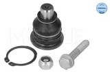 Pivot brat suspensie Dacia Dokker, Lodgy, Logan, Logan Express, Logan II; Renault Clio III, Grand Sc&eacute;nic II, parte montare Axa fata dreapta,