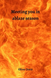 Meeting you in ablaze season