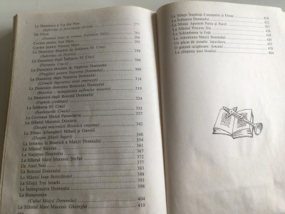 PR.DR. STEFAN SLEVOACA, RAZE DIN LUMINA LUI HRISTOS- PREDICI LA DUMINICI SI SARBATORI. EPISCOPIA BUZAULUI 1996 FORMAT PUTIN MAI MARE 23 X 15,5 CM. foto