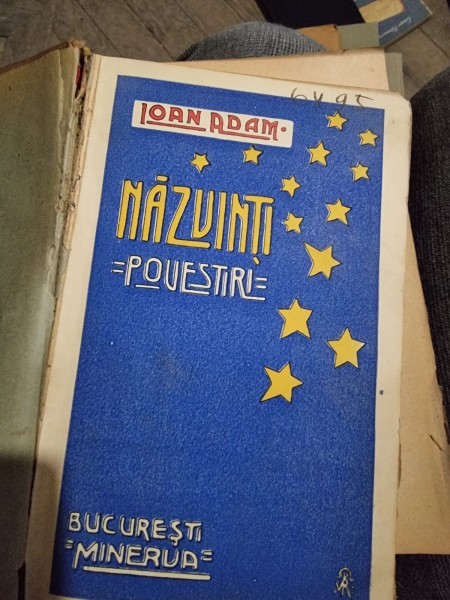 Ioan Adam - Nazuinti- Povestiri