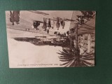 Carte postala NISA , Corespondenta catre E, Naumescu , anul 1928