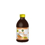 Sirop Catina Alba Fara Zahar cu Indulcitor Natural Stevie 250 mililitri Hypericum