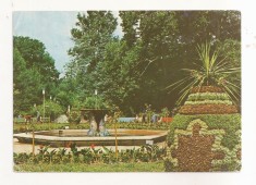 RF58 -Carte Postala- Buzias, Jud Timis, circulata 1981