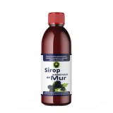 Sirop de Mur cu Zahar 500 mililitri Hypericum, Hypericum Plant