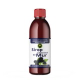 Sirop de Mur cu Zahar 500 mililitri Hypericum