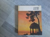 Sochi . Ghid