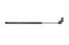 Amortizor capota dreapta față TESLA MODEL S 2016 OEM: 1062634-00-A 28252192