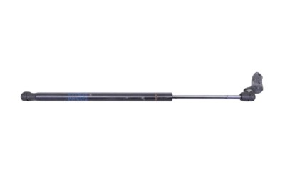 Amortizor capota dreapta față TESLA MODEL S 2016 OEM: 1062634-00-A 28252192 foto