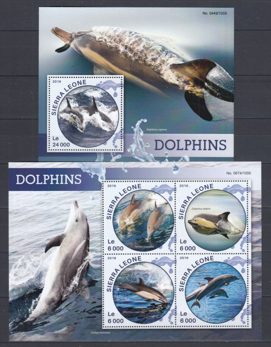 Sierra Leone 2016 - Fauna Marina - DELFINI - Sh. + S.S. - MNH