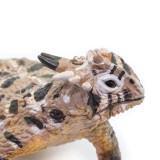 Figurina - Horned Lizard | Safari