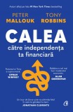 Calea catre independenta financiara, Peter Mallouk , Tony Robbins, Curtea Veche