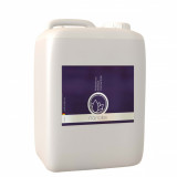 Cumpara ieftin Spuma Prespalare Auto Nanolex Professional Prewash Concentrate, 5L