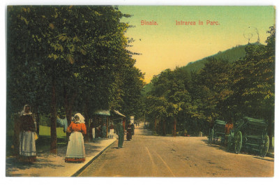 3085 - SINAIA, Prahova, Park, Romania - old postcard - unused foto