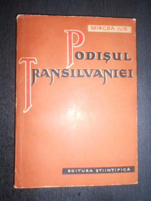 Mircea Ilie - Podisul Transilvaniei foto