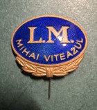 Insigna Liceul Militar Mihai Viteazul