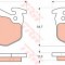 Set placute frana,frana disc RENAULT CLIO II (BB0/1/2, CB0/1/2) (1998 - 2005) TRW GDB1305