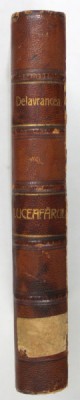 LUCEAFARUL de BARBU ST. DELAVRANCEA , EDITIA I , 1910 foto