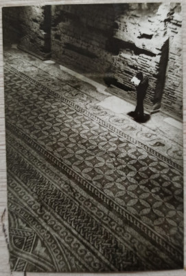 Mozaicul din Constanta// fotografie de presa foto