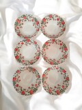Set 6 boluri ceramice elegante cu trandafiri