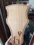 Panoplie Căprior trofeu, lemn masiv de cireș 350x220mm