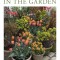 Containers in the Garden