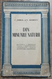 Din minunile naturii - C. Amiral, C. Boerescu