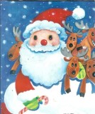 Salveaza-l pe Mos Craciun - Cristina Trifan